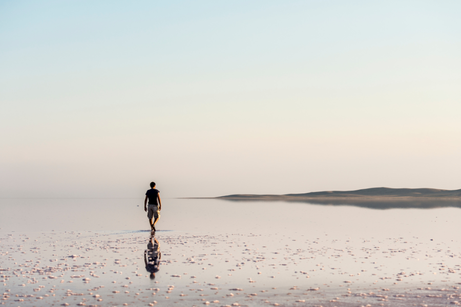 Solitude du web "tradi"