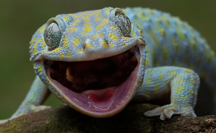 « Les data centers vont avaler toute l’électricité mondiale » Ah ouais ?