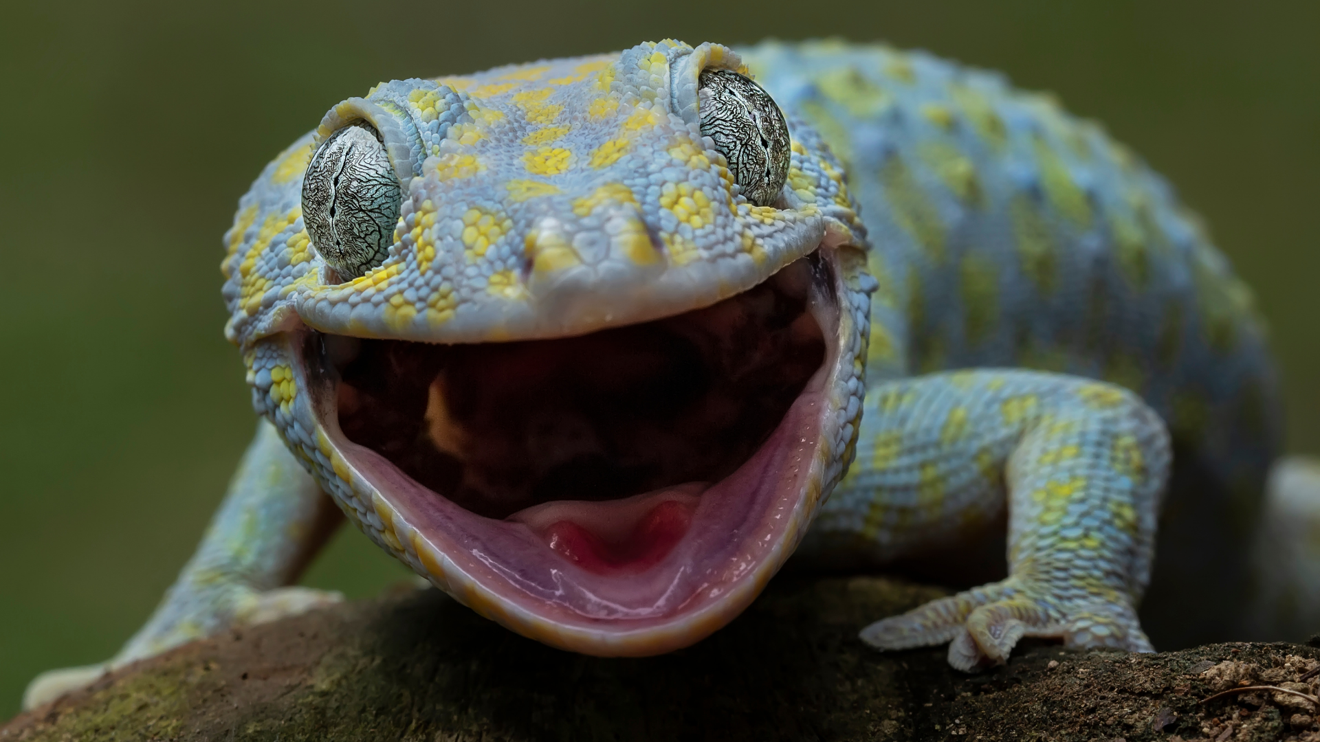 Les data centers vont avaler toute l’électricité mondiale.